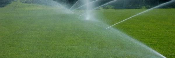 Irrigation Design/Install